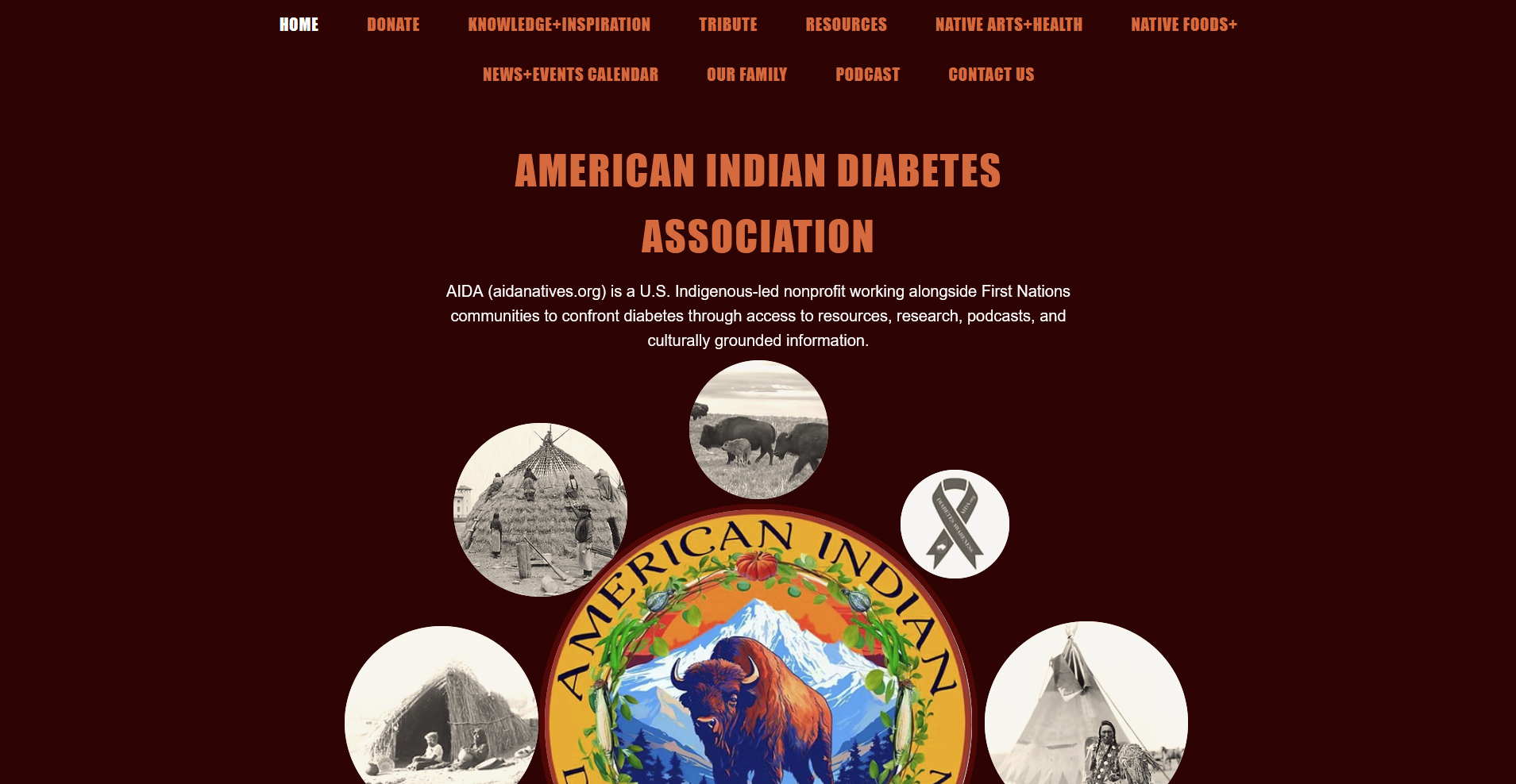 American Indian Diabetes Association homepage preview